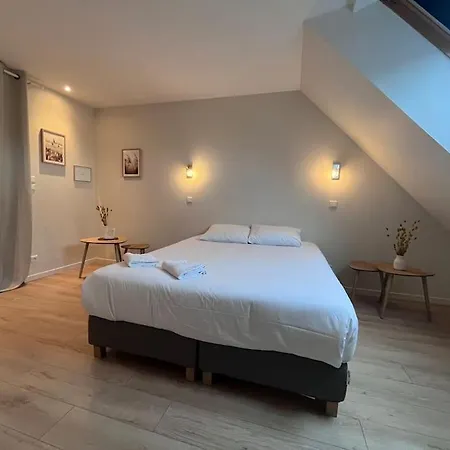 Le Saint Pierre Grand Duplex Hyper Centre, Port דירה קאין