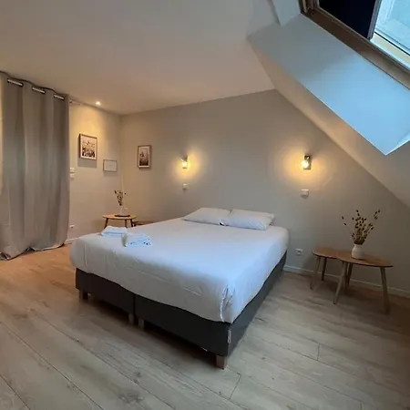 Le Saint Pierre Grand Duplex Hyper Centre, Port קאין