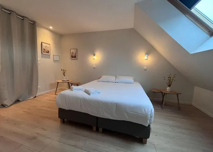 Le Saint Pierre Grand Duplex Hyper Centre, Port 公寓 凯恩